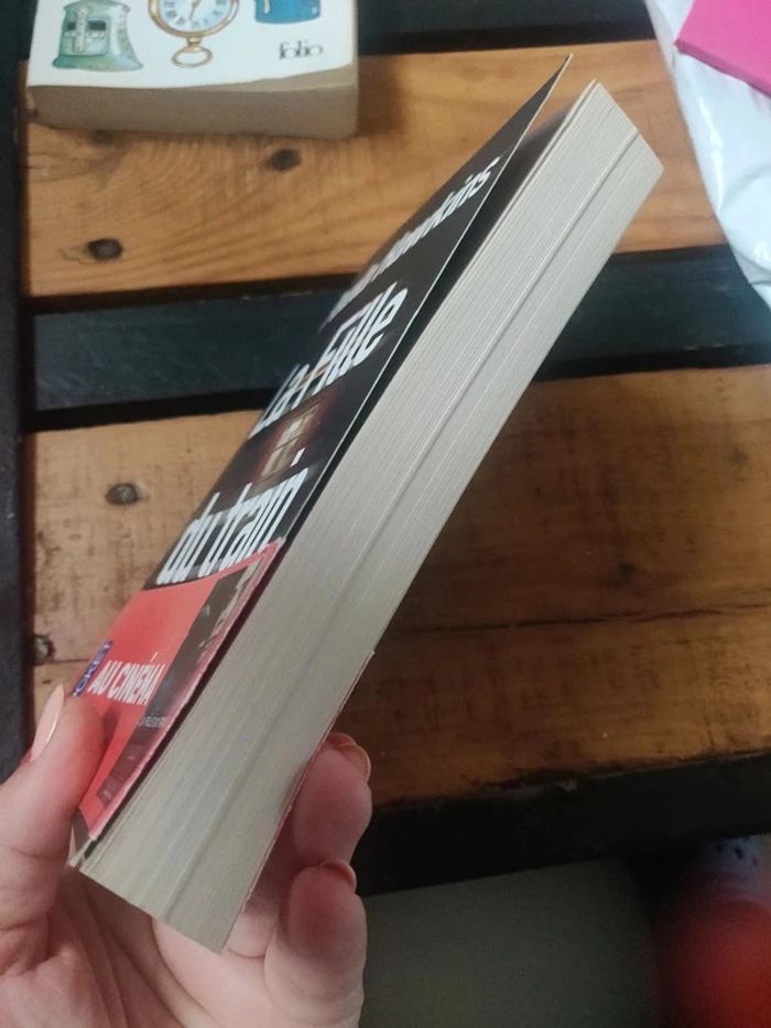 La fille du train de Paula Hawkins - photo numéro 4