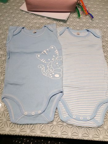 Lot de 2 bodys in extenso