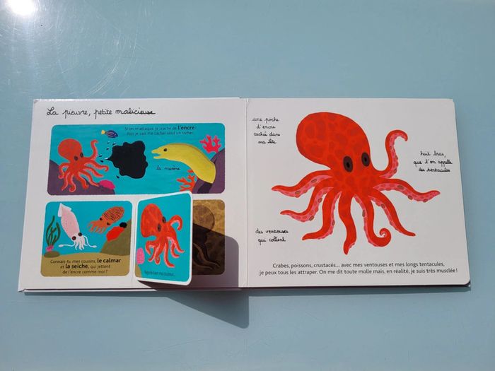Beau livre animé 🦀 Mes animaux des mers 🐬 à toucher 🦐 Milan Jeunesse (72) - photo numéro 7