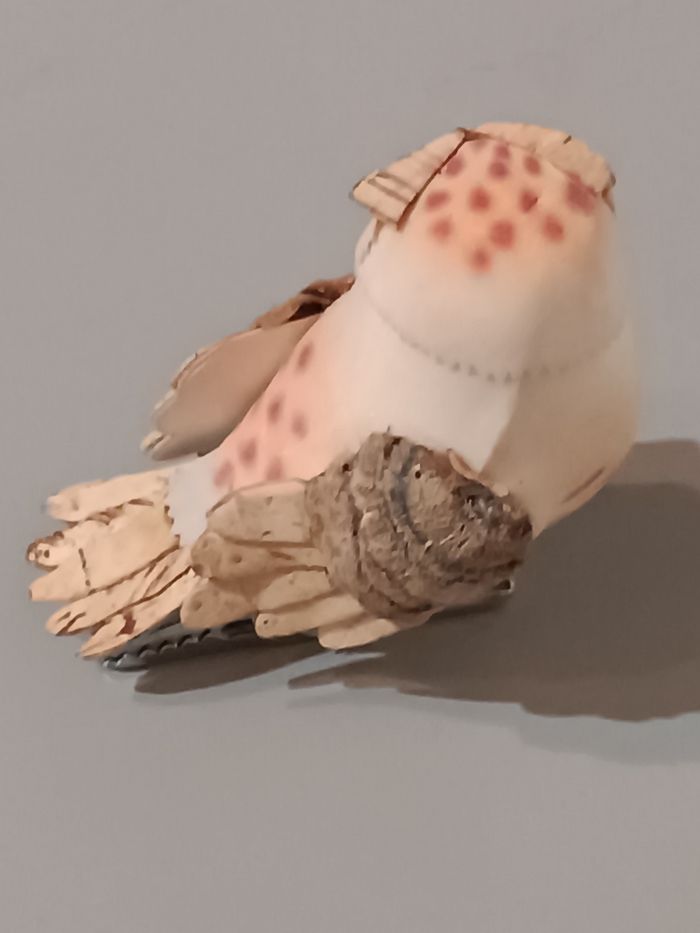 Chouette pince - photo numéro 3