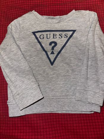 Ensemble guess