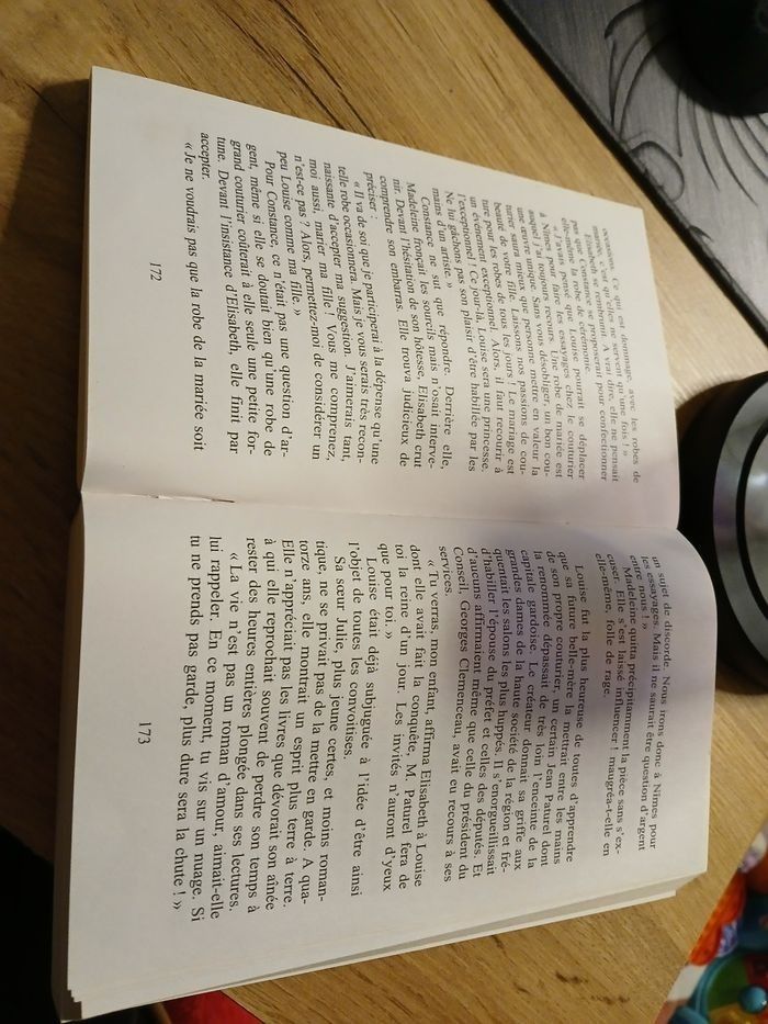 LIVRE LES ROCHEFORT DE CHRISTIAN LABORIE - photo numéro 2