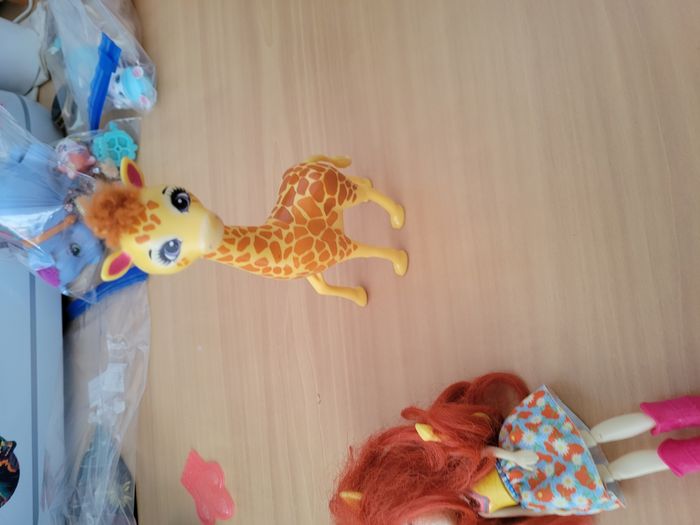 Girafe - photo numéro 2