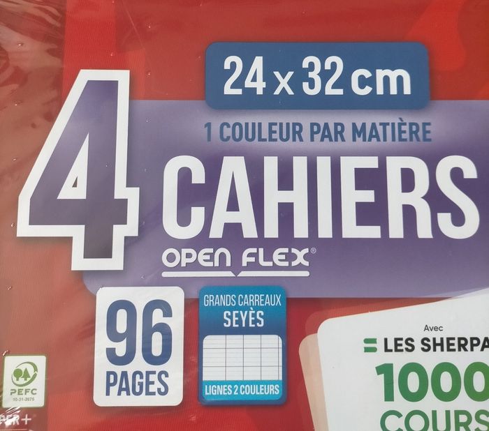 Lot 4 cahiers 96 pages Oxford 24x32 cm - photo numéro 2
