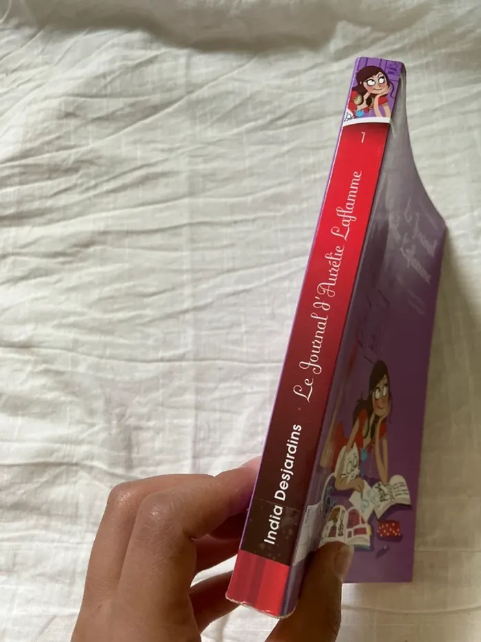 Le Journal d’Aurélie Laflamme – Tome 1 : Extraterrestre ou presque ! - photo numéro 2