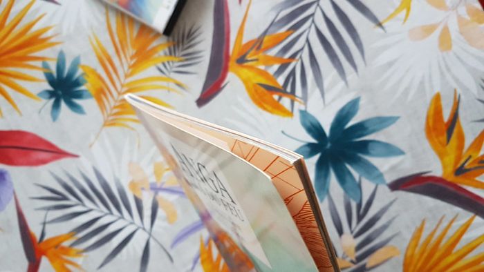 Anga fils du feu - photo numéro 6