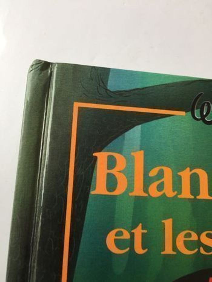 Livre    Blanche Neige et les 7 nains - photo numéro 8