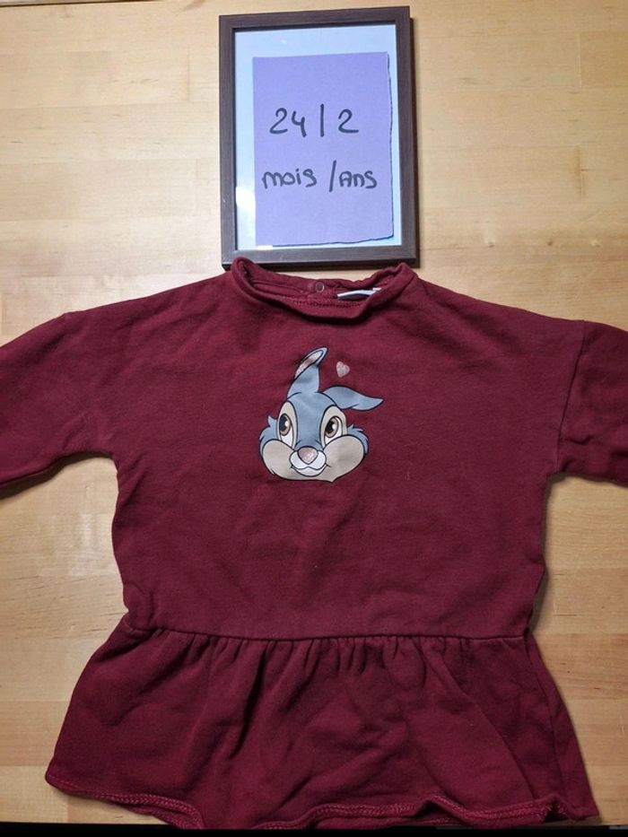 Pull pour fille taille 24 mois Marque Disney baby très bon état