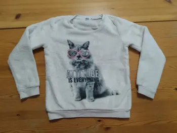 Pull polaire