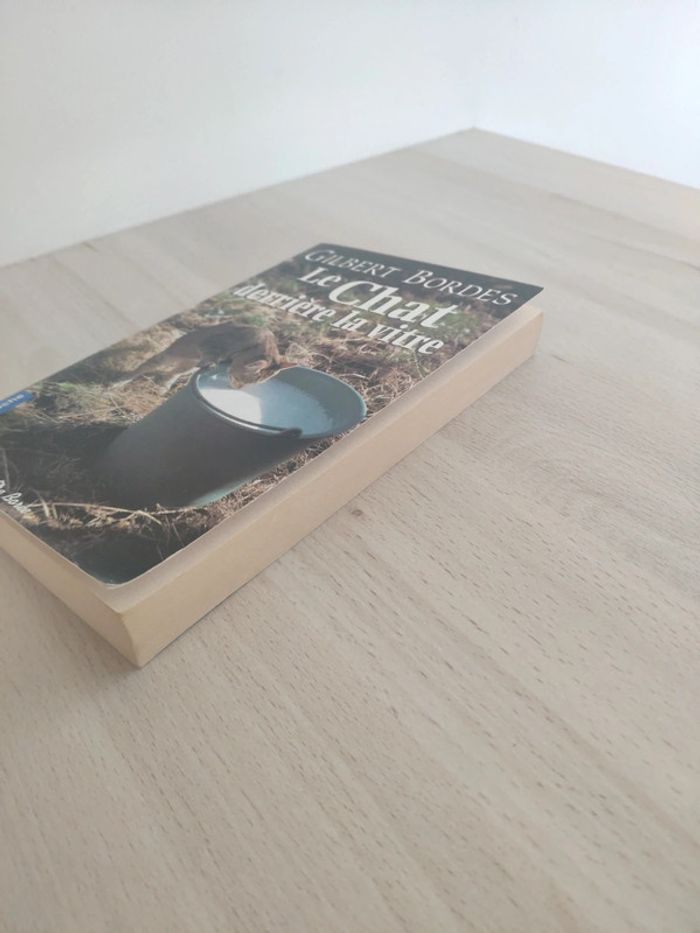 Livre poche le chat derrière la vitre Gilbert Bordes - photo numéro 3