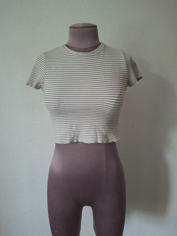 Top court S Pull ans Bear