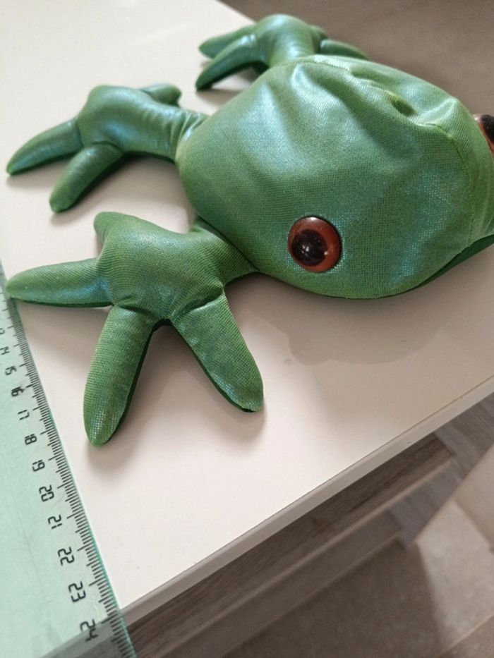 Grenouille sable - photo numéro 2