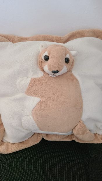 doudou coussin