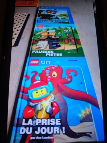 Lot de 3 livres Lego