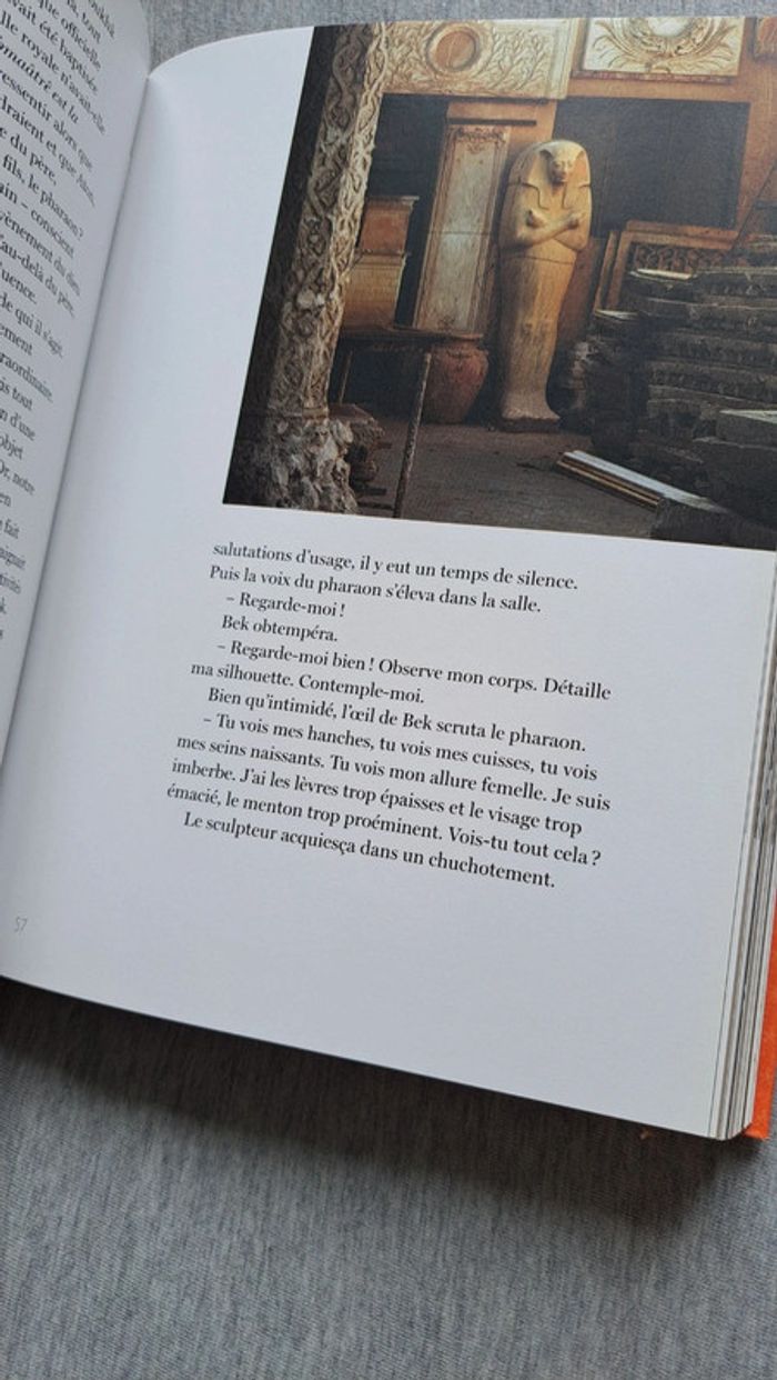 Livre impressions d'Égypte - photo numéro 9