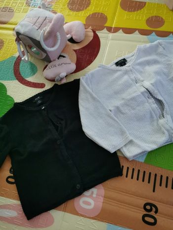 Gilets