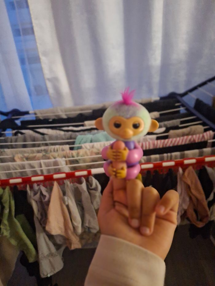 Singe - photo numéro 2