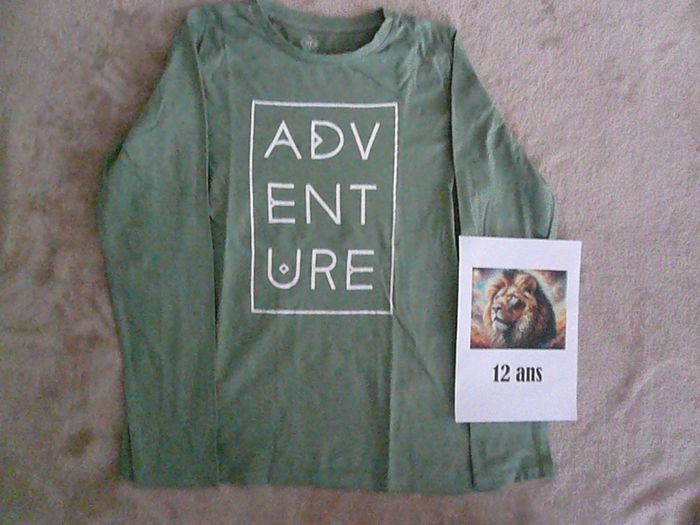 Lot de 2 tee-shirts 12 ans (n°4) - photo numéro 3