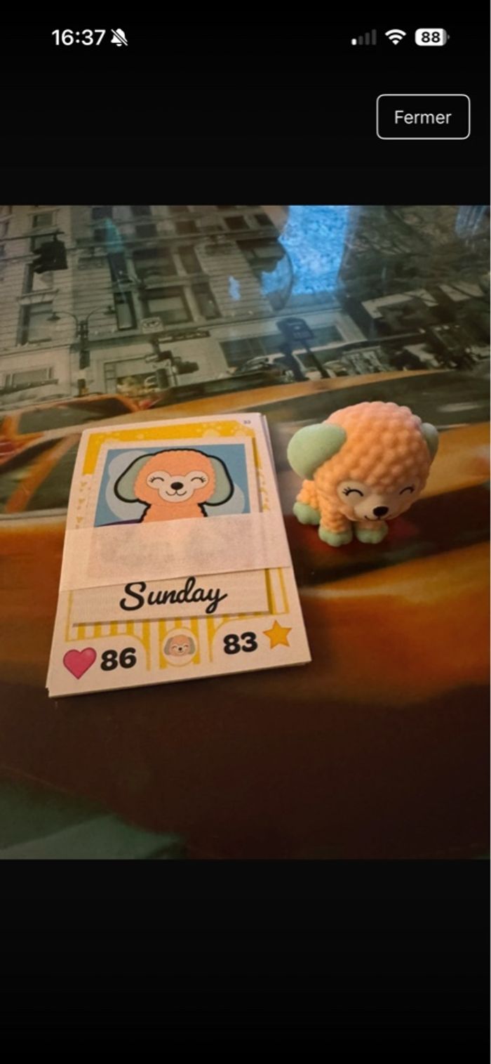 Sunday i love puppies