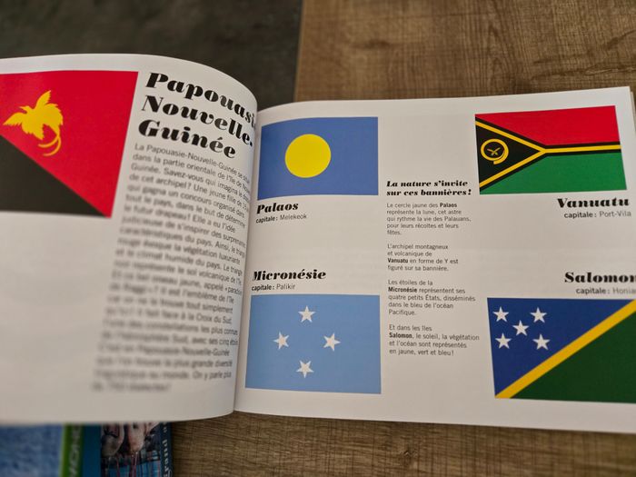 livre "les drapeaux du monde expliqués aux enfants" - photo numéro 3