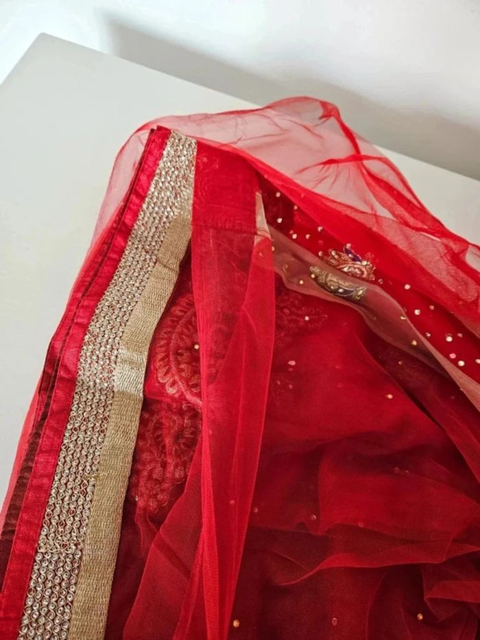 Véritable magnifique sari île Maurice brodé fait à la main rouge et vert velour robe indienne - photo numéro 5