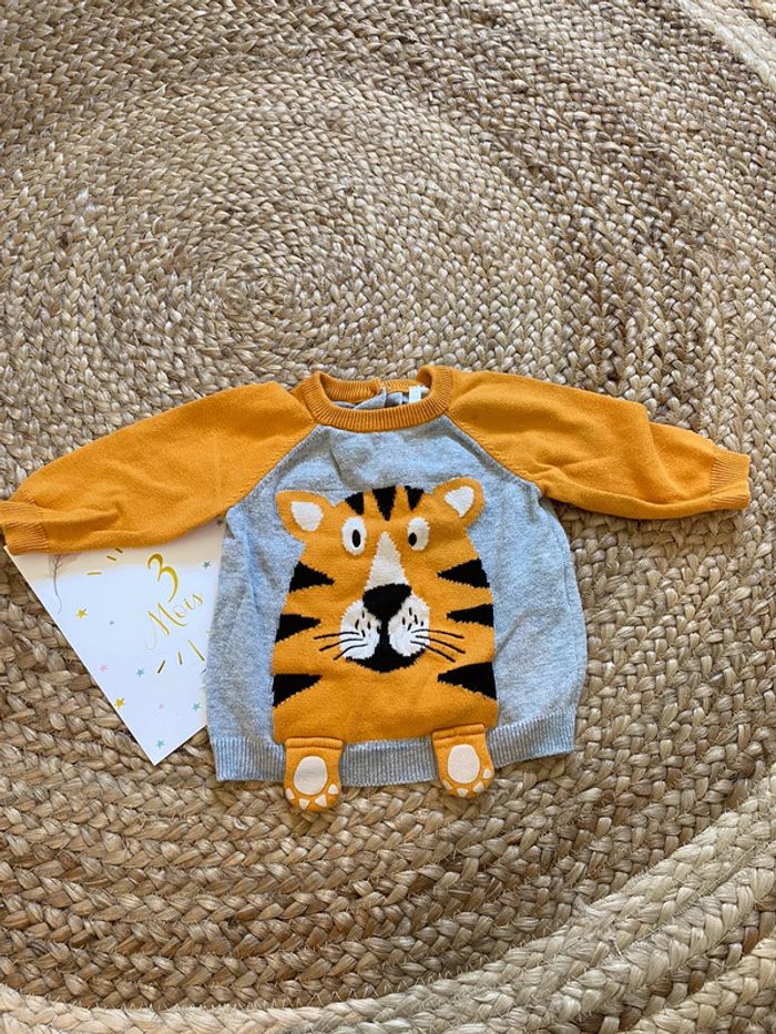 Pull tigre 🐯