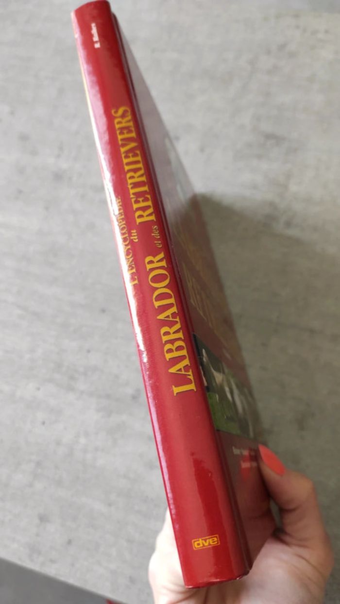 Livre sur le labrador retriever - photo numéro 3