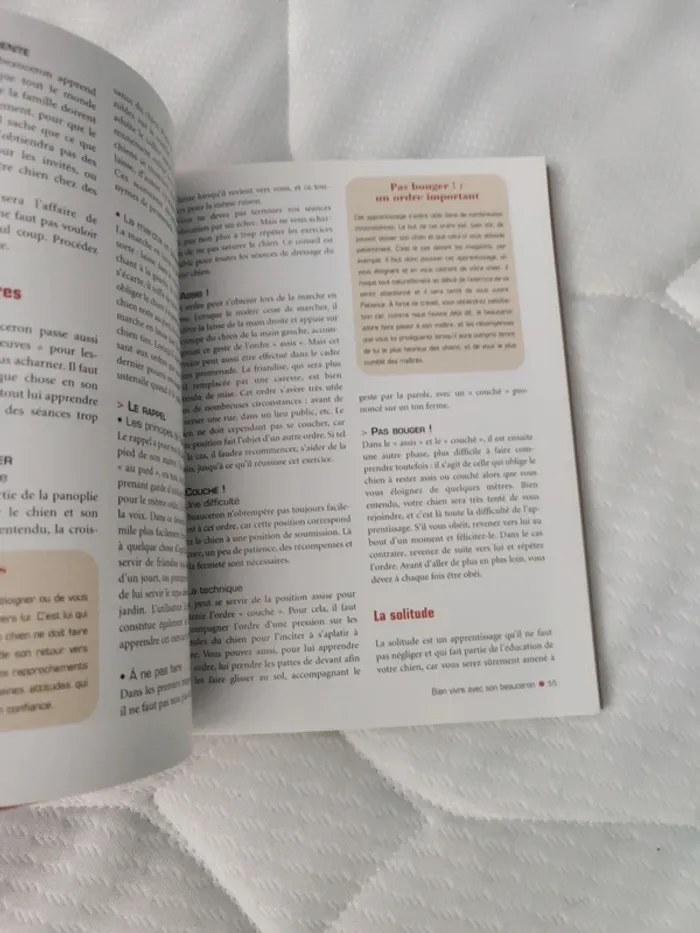 Livre sur le chien beauceron - photo numéro 3