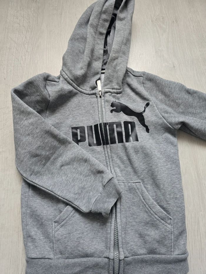 Veste - photo numéro 3