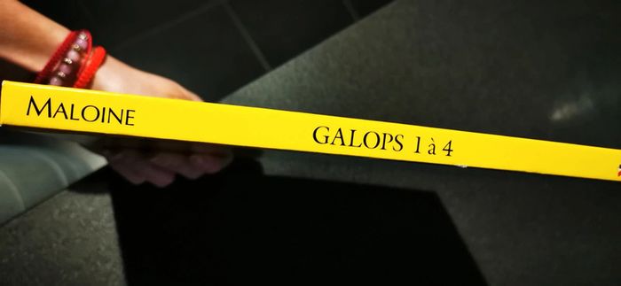 Livre cours équitation / hypologie galop 1 à 4 - photo numéro 3