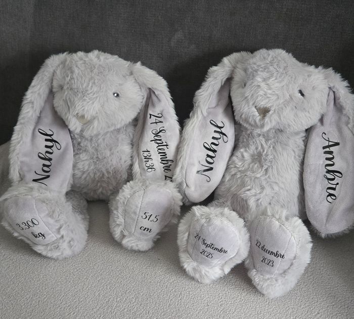 Lapin personnaliser - photo numéro 4