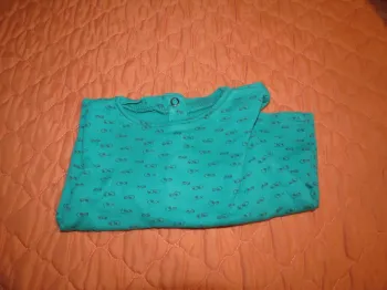 T-shirt taille 12 mois garçon