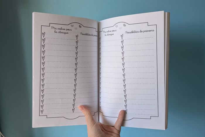 Journal de grossesse à remplir avec amour - photo numéro 5