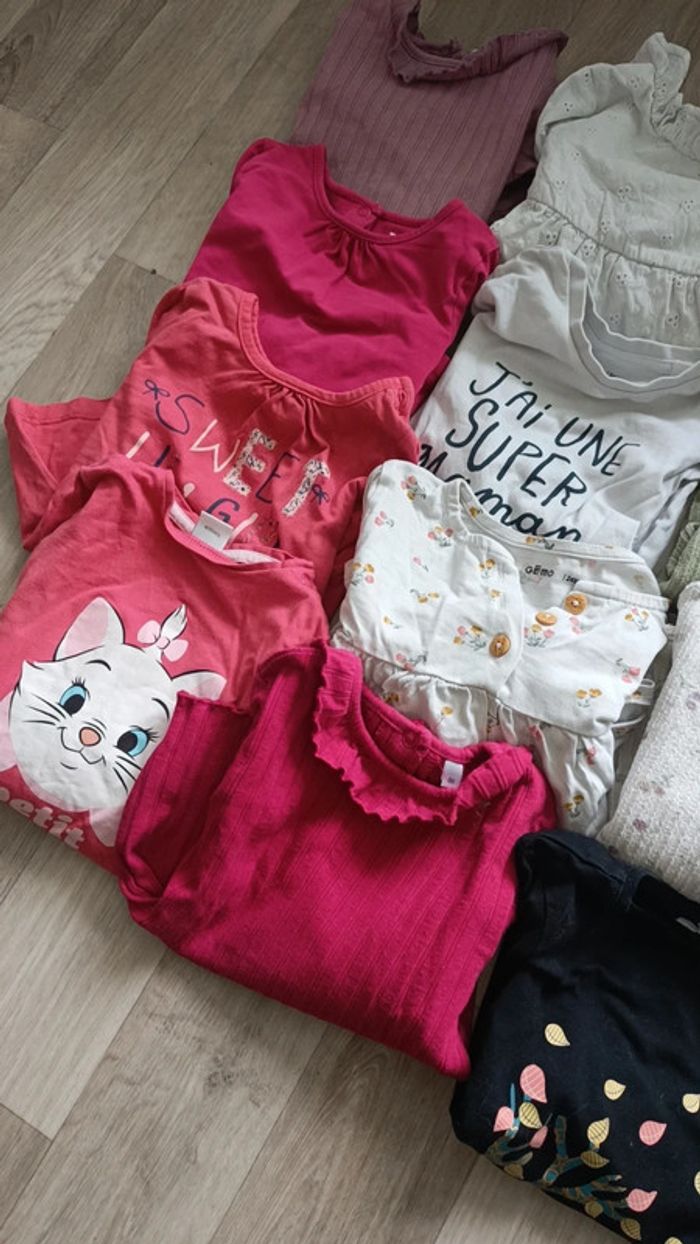 Gros lot tee shirts manches longues taille 24 mois marques diverses - photo numéro 2