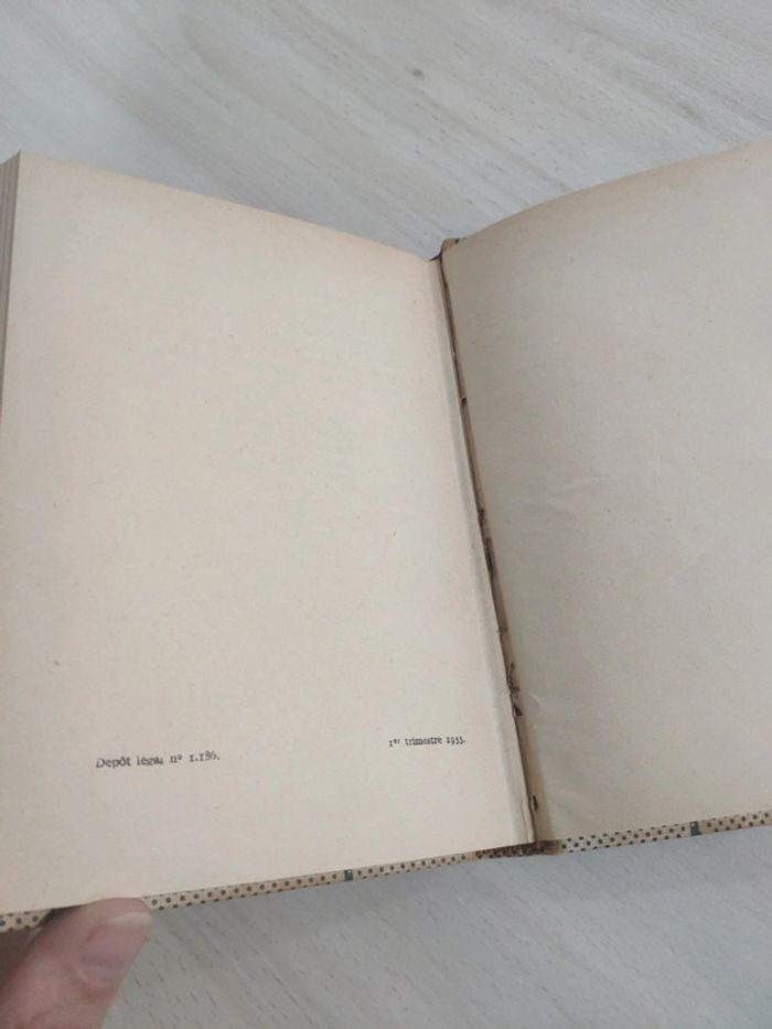 Livre Le mal François Mauriac - photo numéro 7