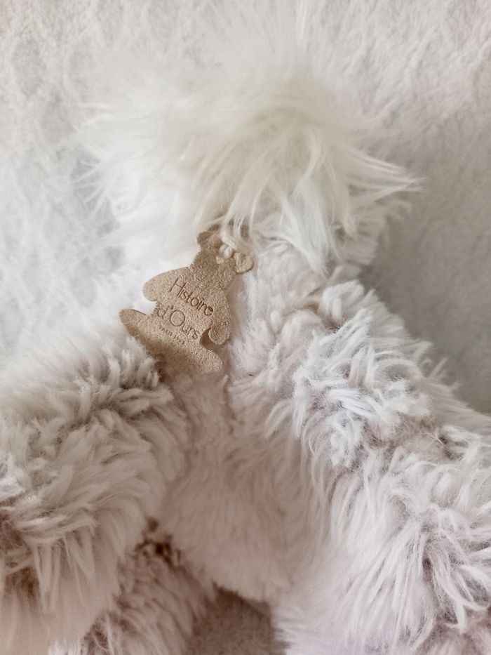 Doudou chien Histoire d'ours - photo numéro 2