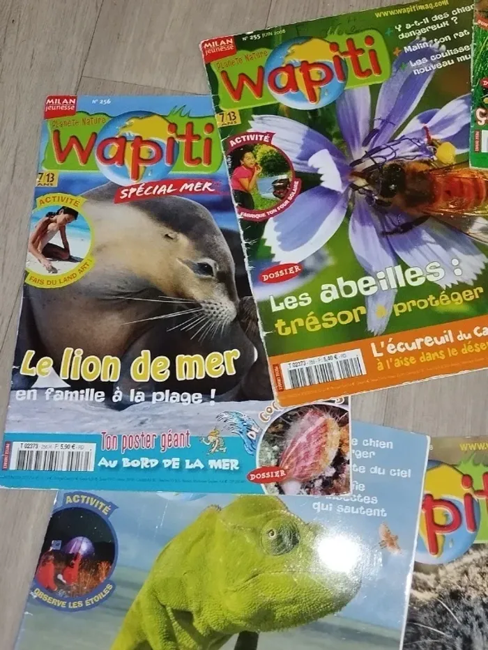Lot de 7 magazines Wapiti année 2008 L024 - photo numéro 6