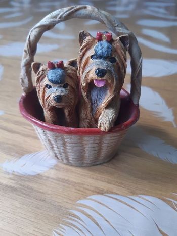 Collection Races de Chiens