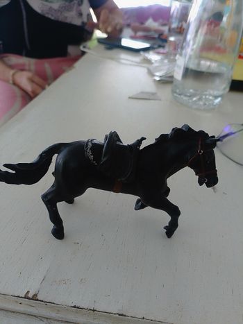 Cheval de zorro