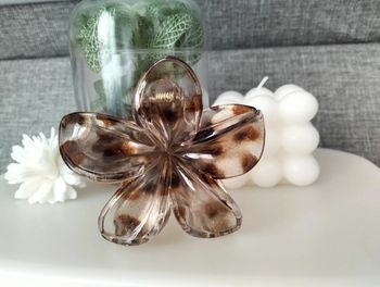 Grosse pince cheveux translucide tachetée marron fleur de Tiaré - environ 10 cm