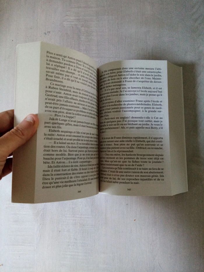 Fleurs de feu - photo numéro 5