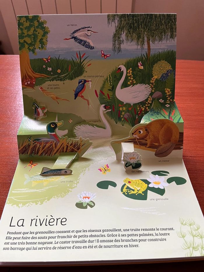 Livre en relief - photo numéro 3