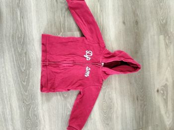 Gilet/veste à capuche  Du pareil au même