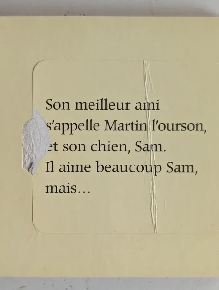 Lot de 2 livres Franklin – Un animal pour Franklin + Le doudou très spécial - photo numéro 7