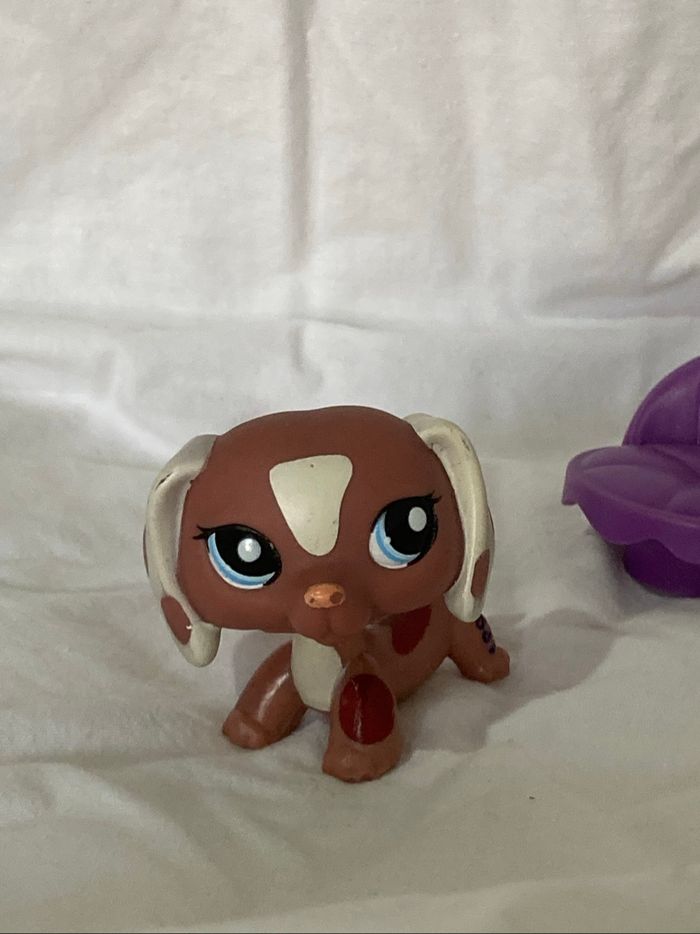 lps teckel rare - photo numéro 7