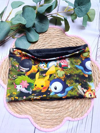 Snood / tour de cou pokémon