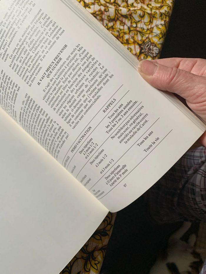 Le caniche - photo numéro 10