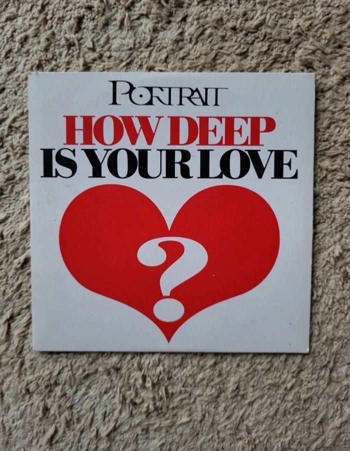 CD 2 titres de Portrait How deep is your love
