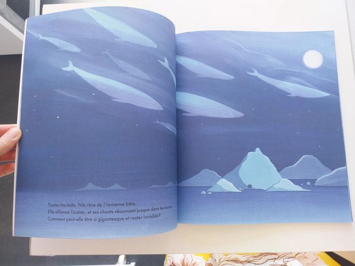 Baleine - photo numéro 2