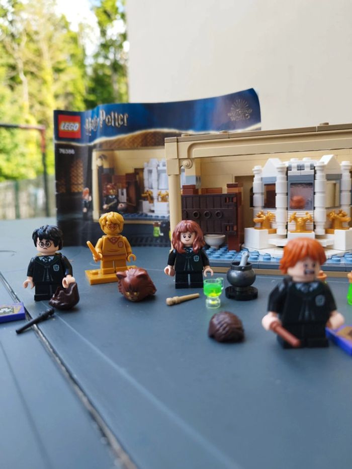 Lego Poudlard: l’erreur de la potion Polynectar - photo numéro 2